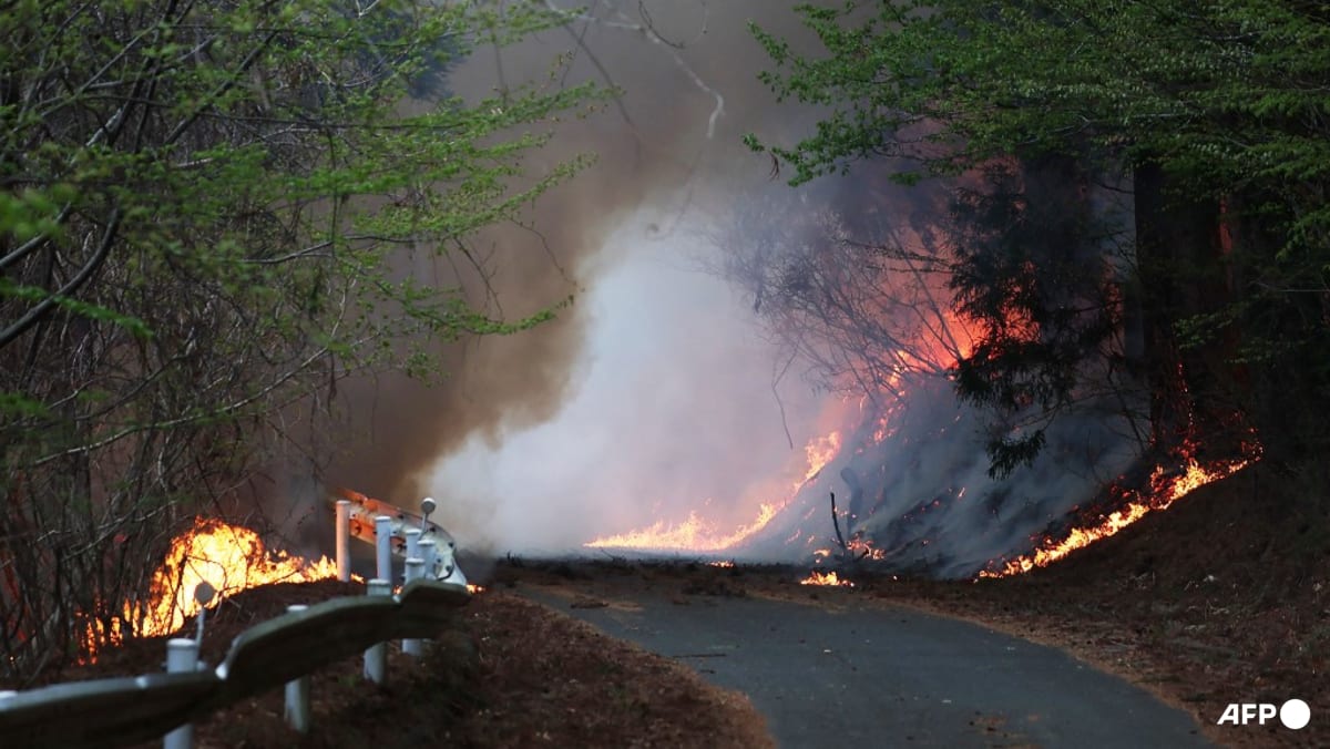 Wildfires spread towards northern Japan town