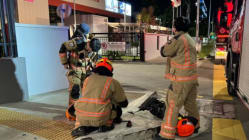 Related article image