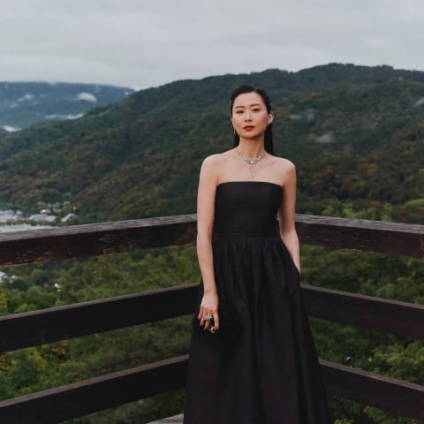 陈法拉独家转战好莱坞!李安新作或将邀请加盟,星途亨通!