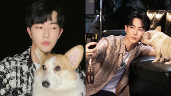 New Twist in Yu Menglong Case: Rumours Surround Deaths of His Two Dogs - 8days