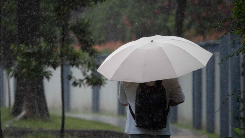 Rainy afternoons expected to continue in first half of March, after wettest February day on record: Met Service