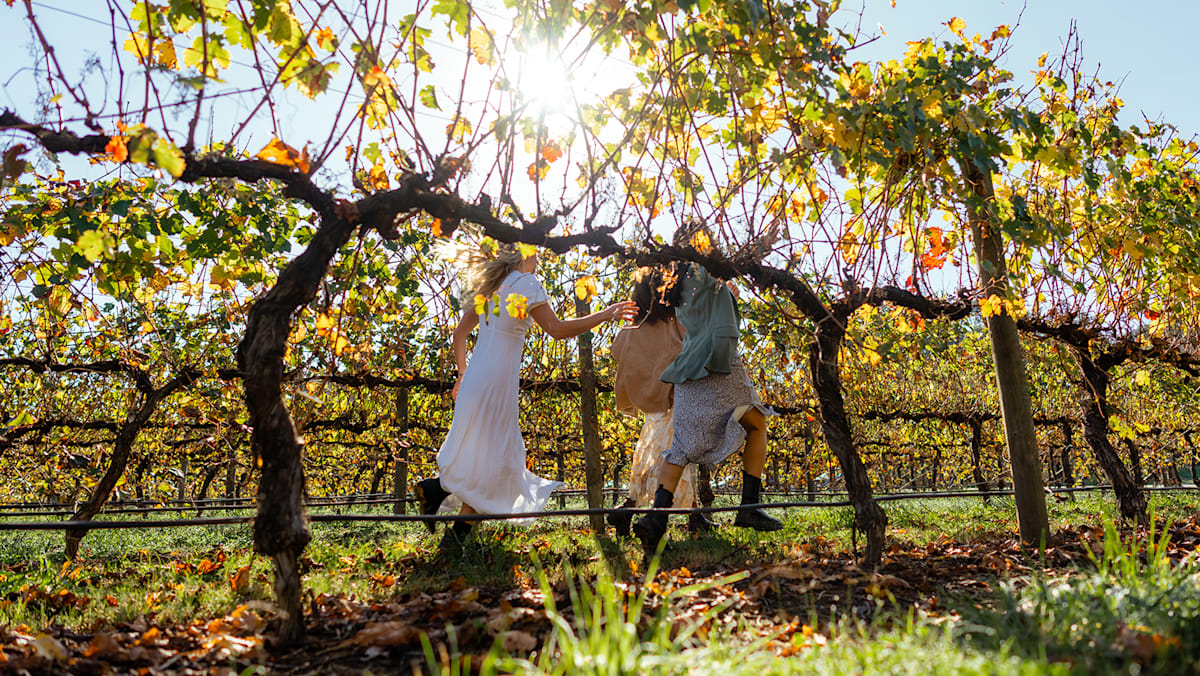 Scenery, food, culture: Uncover 5 autumn gems in Melbourne, Victoria