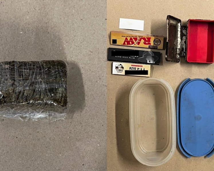 Cannabis among S$55,000 worth of drugs seized, 146 suspects arrested: CNB