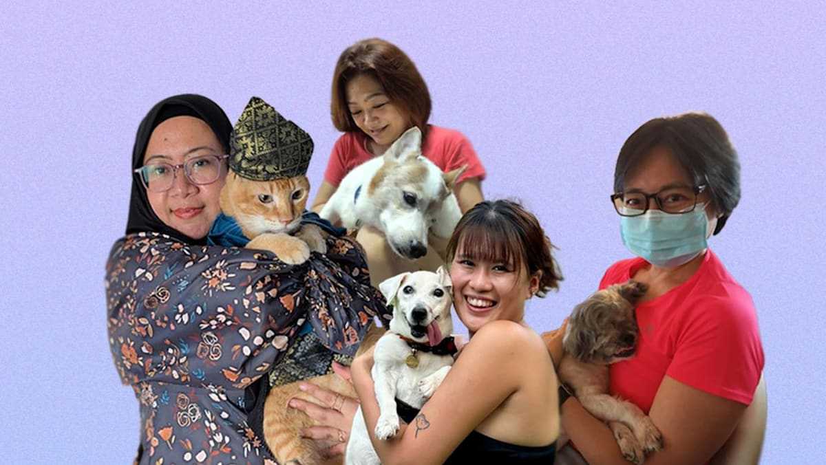 Why some women adopt senior and sick pets