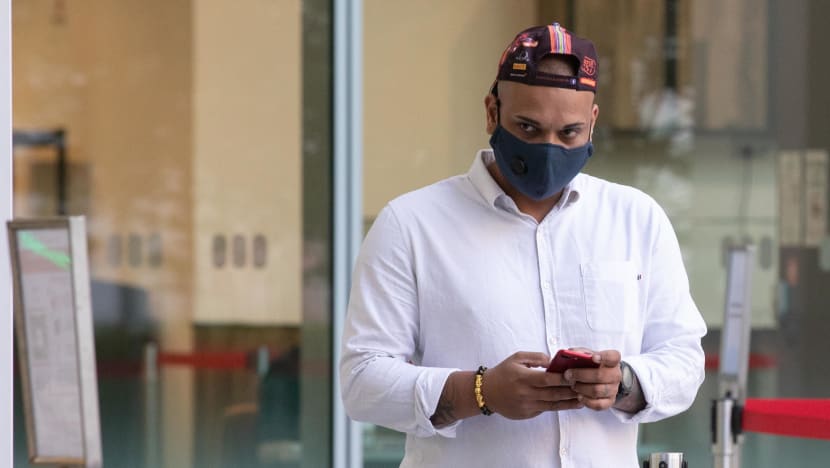 Jail for man who smuggled 6 puppies, bird in cramped car compartment; most of them later died