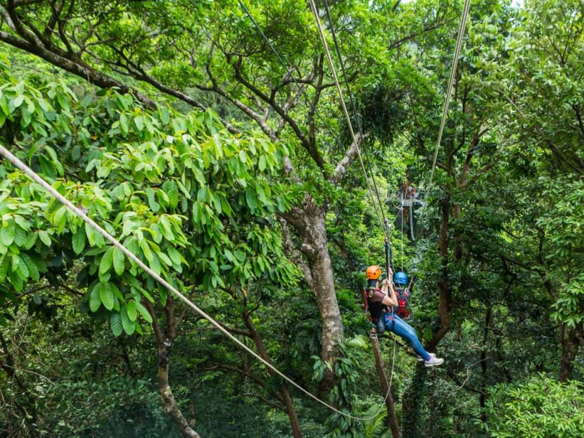 The accident occurred at a popular tourist attraction at Camelot Close at Cape Tribulation in Daintree rainforest.