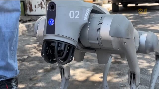 墨西哥机器狗街上与民互动 提高防止虐待动物意识