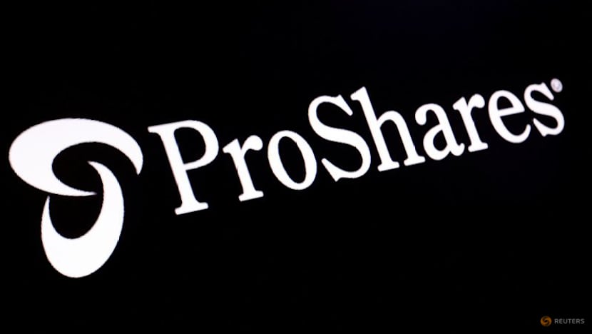 ProShares withdraws some highly leveraged ETF plans after SEC review halt