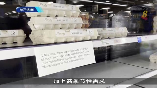 美国上个月鸡蛋价格同比高六成 零售价格或需多周后才下调