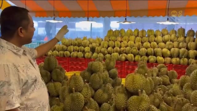 榴梿季带来就业机会 泰国囚犯学习技能谋出路
