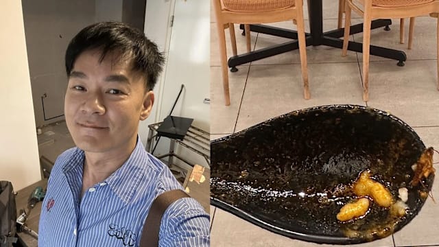 友人吃酿豆腐时从碗里挖出“小强”，王沺裁：每碗汤变寻宝游戏