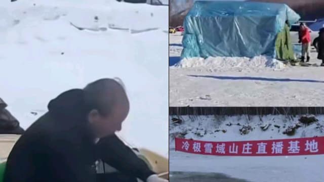 零下20度露营直播 中国网红疑车内烧炭取暖身亡