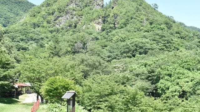 日本新泻金银矿山景点佐渡金山列入《世界遗产名录》