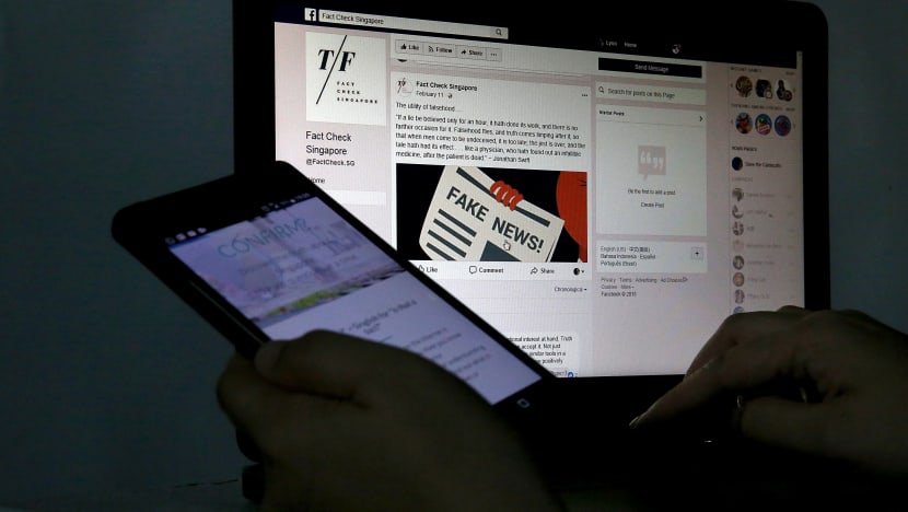 Countering fake news is more than just about having new laws, experts say