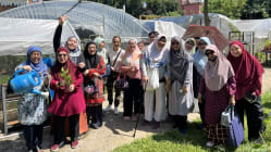 Related article image