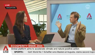 Antarctica truly is the canary in the coal mine for our global biosphere: Analyst