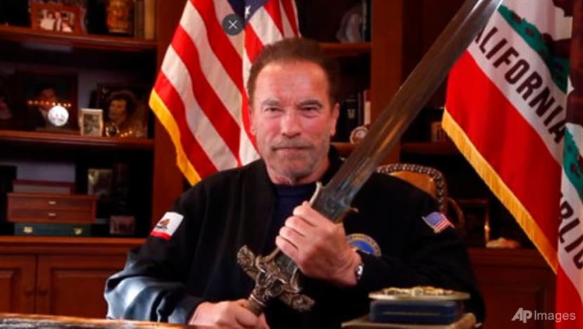 Arnold Schwarzenegger compares US Capitol mob to Nazis