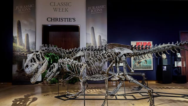 洗钱案关联者苏炳海 九套房和恐龙化石被英国没收