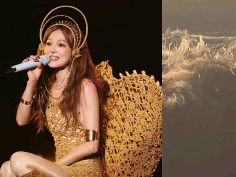 'When did he last wash his hair?': Netizen films spider spinning web on head of man at Angela Chang concert