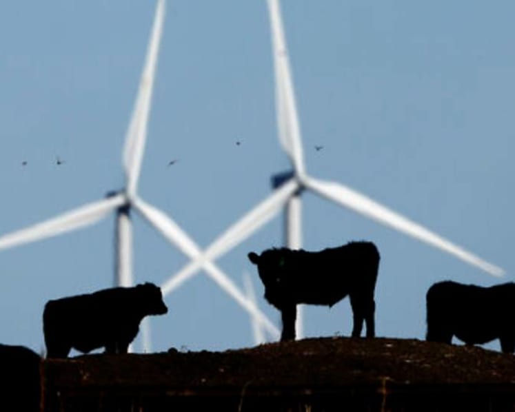 Fix to food climate problem doesn't require veganism: Study