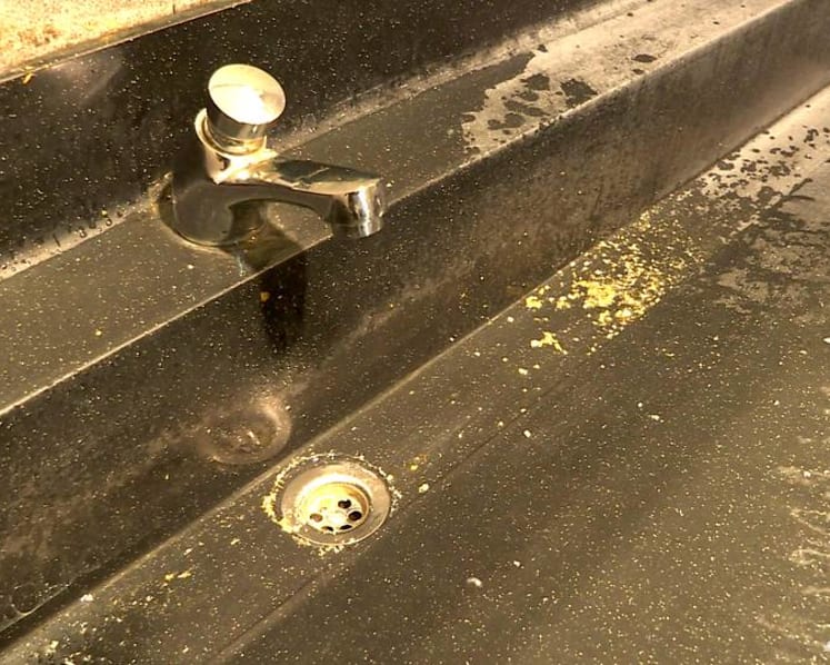 Drink water from a public toilet? Singapore's taps put to the test