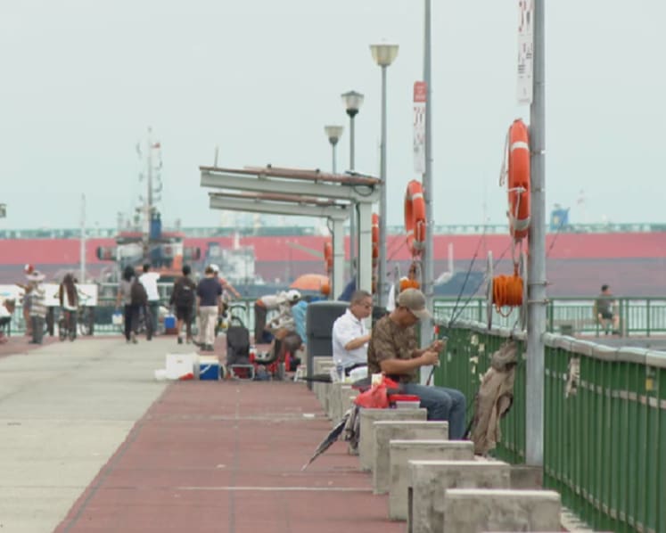 Anglers, researchers race to document East Coast fish species ahead of Long Island works