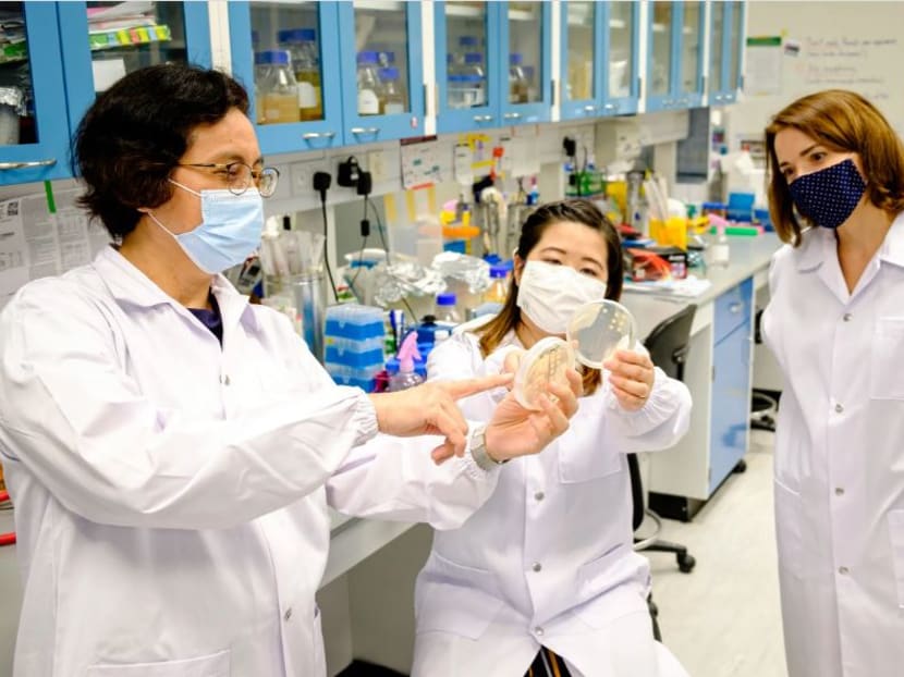 (From left) Professor Mary Chan, Dr Adeline Yong and Associate Professor Kimberly Kline, the team from the Nanyang Technological University that developed a synthetic peptide.