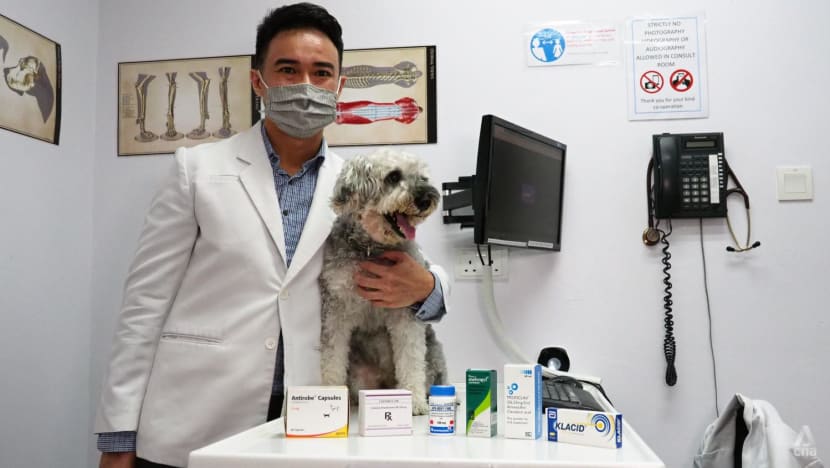 NParks introduces guidelines for antibiotics use in pets to fight antimicrobial resistance