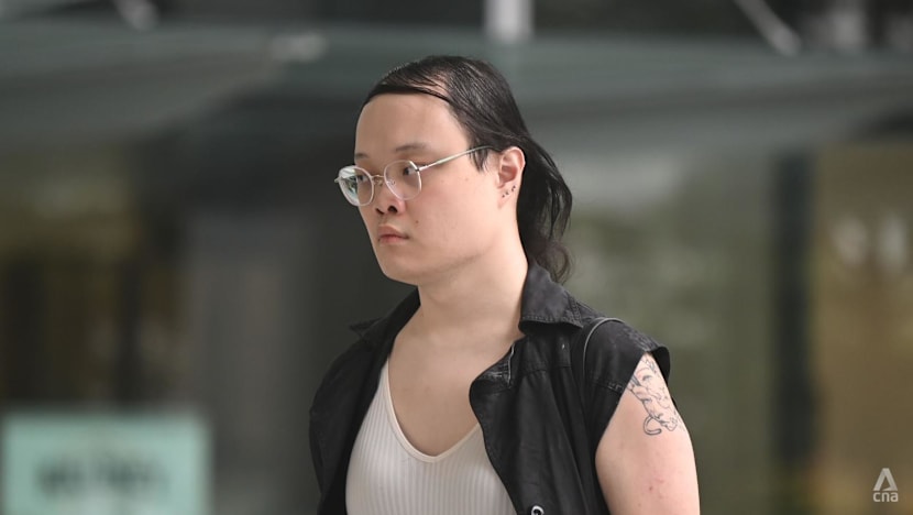 Commuter pleads guilty to pushing security officer over bag screening after lawyers take up case
