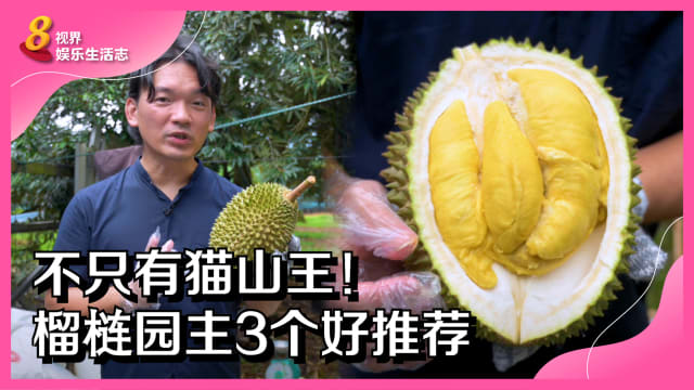 不只有猫山王！榴梿园主3个好推荐