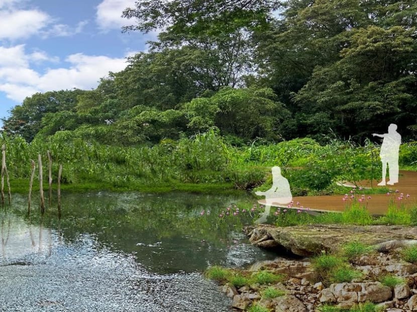 An artist's impression of Miltonia Nature Park.