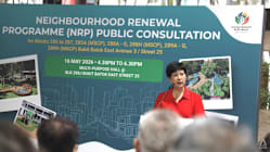 Related article image