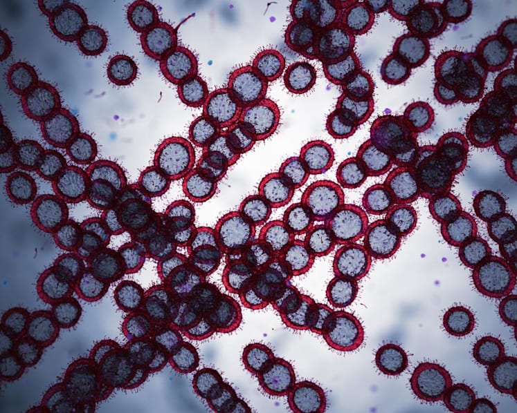 38 cases of drug-resistant Candida auris fungal infection reported in Singapore since 2019