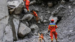 Related article image