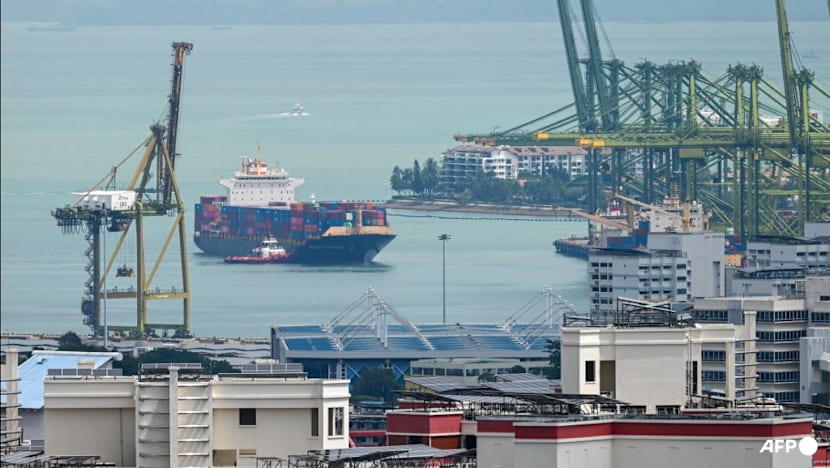 Singapore disputes US trade surplus claim, says it ran deficit in 2024 amid new probe over unfair trade