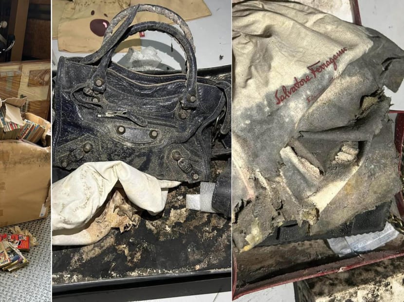 How Did Woman&rsquo;s $16K Worth Of Luxury Bags, Clothes Turn So Mouldy After 1 Year In Storage Facility?