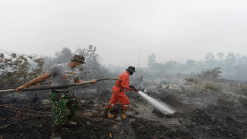 Kebakaran hutan di Riau sudah musnahkan hampir 1,700 hektar tanah
