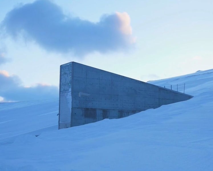 Global seed vault the world’s ‘ultimate insurance policy’ for future food security, say scientists