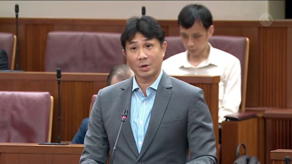 Jamus Lim on Veterinary Practice Bill