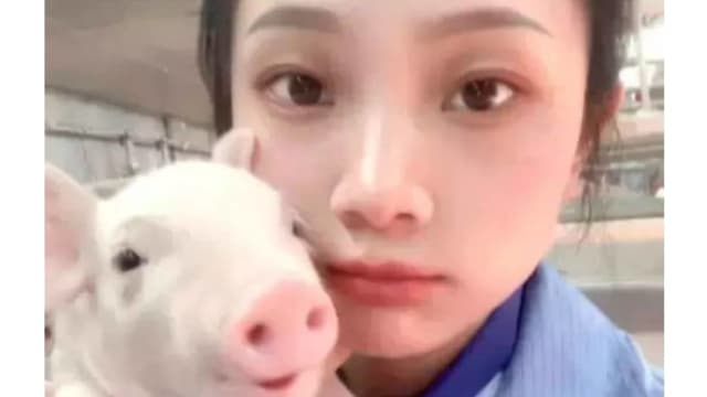 “没有复杂人际关系” 95后美女大学生宁当猪保姆