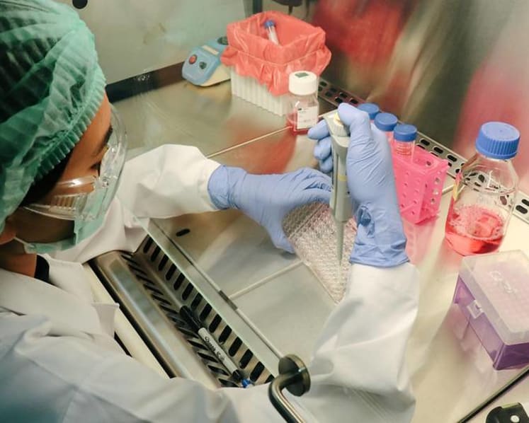 Thai scientists race to develop homemade COVID-19 vaccine amid second wave of infections