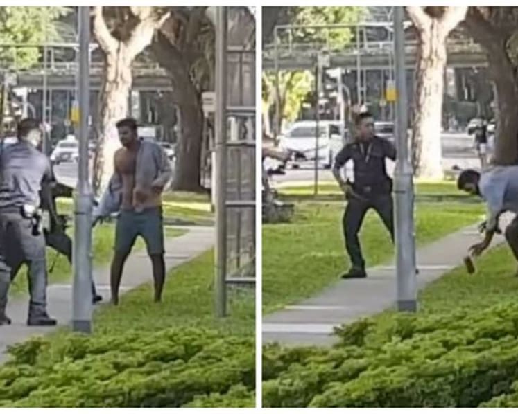 Man tasered at Everton Park gets jail, cane for robbery, vandalism and assaulting police