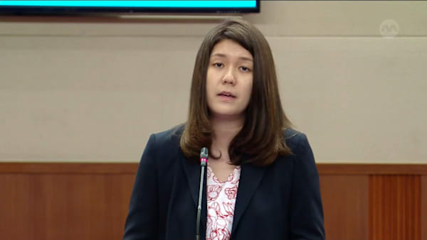 Lee Hui Ying on Land Transport and Related Matters Bill