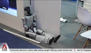 CES 2026: Chinese firms dominate robotics sector at tech convention in Las Vegas