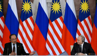 Malaysia PM Anwar discusses MH17 downing with Russia's Putin