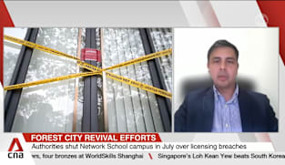 Johor's Forest City revival efforts hindered by controversial activities