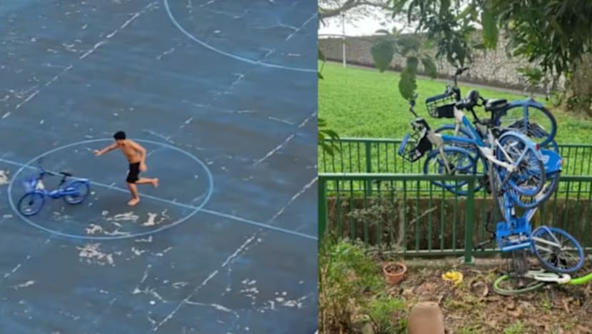 HelloRide buat aduan polis selepas video tular tunjuk budak lelaki rosakkan basikal di Yishun