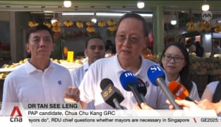GE2025: Jobs emerge as top issue in Chua Chu Kang GRC contest between PAP and PSP
