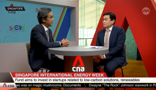 Aiming to double capacity of geothermal energy: Pertamina New and Renewable Energy CEO