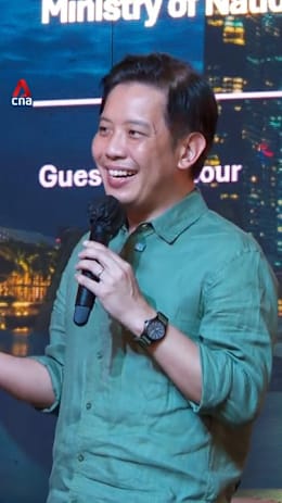 Alvin Tan on how Singapore's 'Rhythm of the Night' has changed